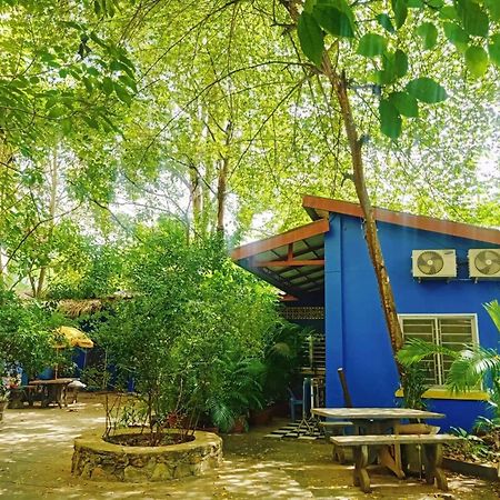 The Hideout Apartment กำปอต ภายนอก รูปภาพ